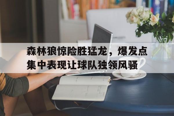 森林狼对猛龙